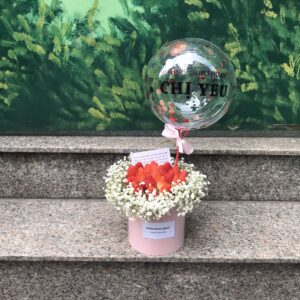 Hop-bong-dau-tay-mix-baby-sunshineblossom-htc005-2