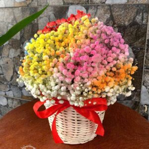 Gio-hoa-baby-tuoi-xinh-xan-hkt057